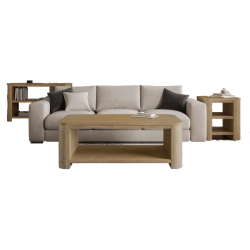 Janzen 3 Piece Coffee Table Set in Cascade Oak Brown Wood